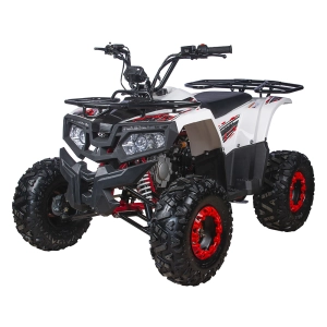 yacota-atv-fusion-125cc