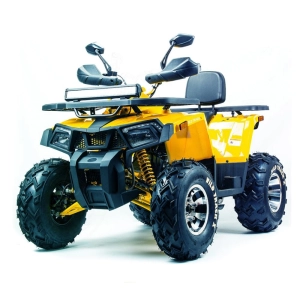 motoland-atv-200-wild-track-x-pro