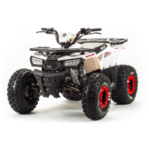 motoland-atv-wild-basic-125cc