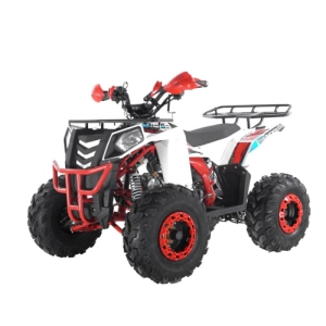 wels-thunder-evo-125