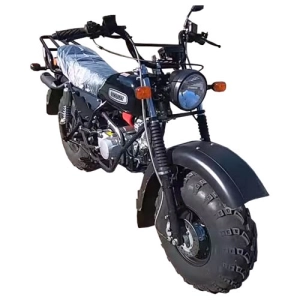 izh-skaut-motocykl-vnedorojniy-3-125-plus-vortex
