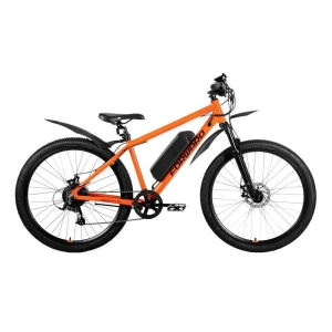 eforward-ebike-apache-29-e-500-2022