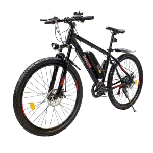 greencamel-ebike-klass-a-r275-350w-10ah