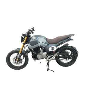 shineray-motocykl-street-scrambler-250cc