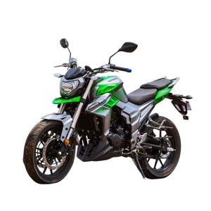 regulmoto-t-leopard-300
