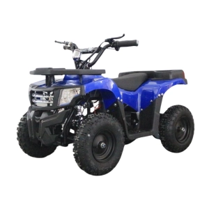 greencamel-atv-gobi-k24-36v-800w-r6