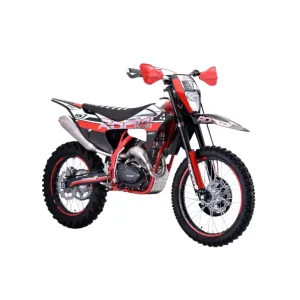 rockot-motocikl-jenduro-gs-7-tribute-250cc-172fmm-5-pr250-21-18