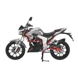 regulmoto-raptor-250-new
