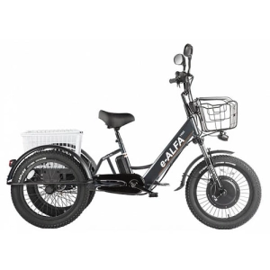 green-city-tritsikl-e-alfa-trike